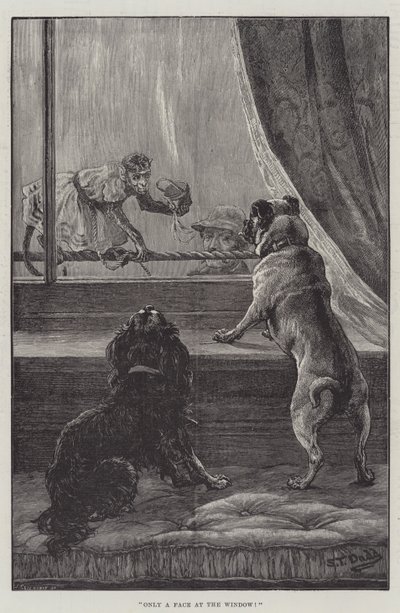 Only a Face at the Window by S.T. Dadd